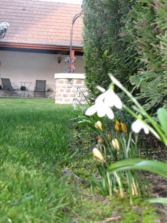 Hotel L'Oree Des Vignes Gilly-les-Citeaux ภายนอก รูปภาพ