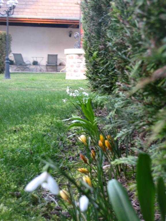Hotel L'Oree Des Vignes Gilly-les-Citeaux ภายนอก รูปภาพ