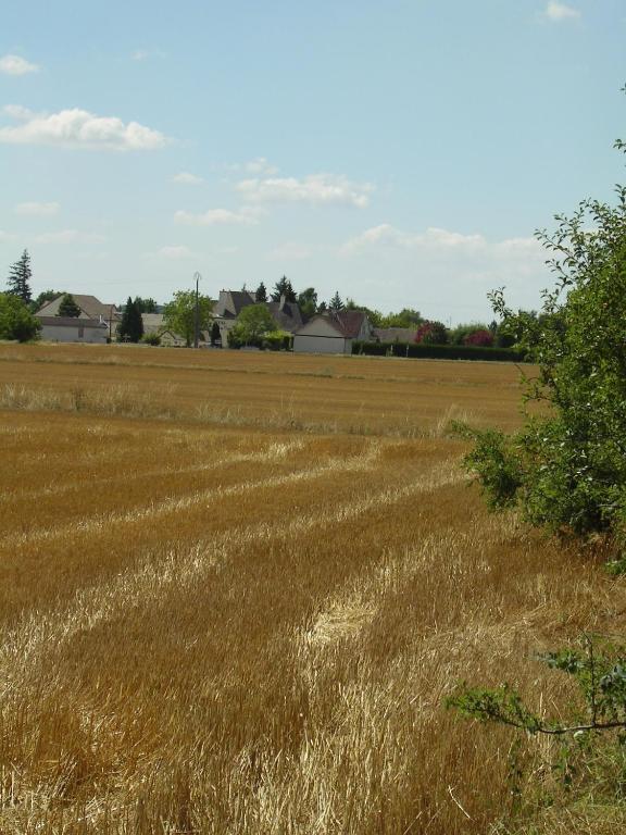 Hotel L'Oree Des Vignes Gilly-les-Citeaux ภายนอก รูปภาพ