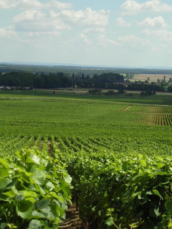 Hotel L'Oree Des Vignes Gilly-les-Citeaux ภายนอก รูปภาพ